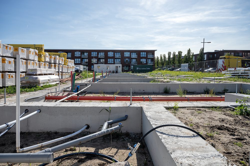 16_lowres_Jajo-Kampen_13-sept-23