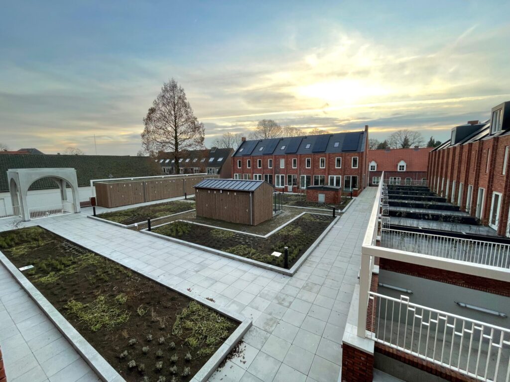 daktuin-scaled