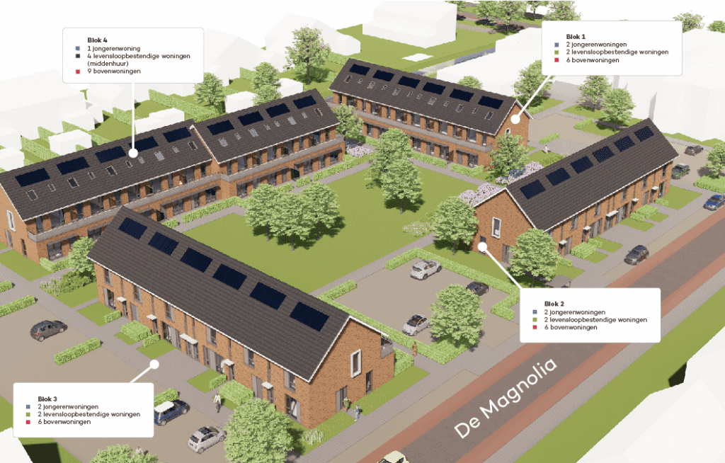 magnolia-per-blok