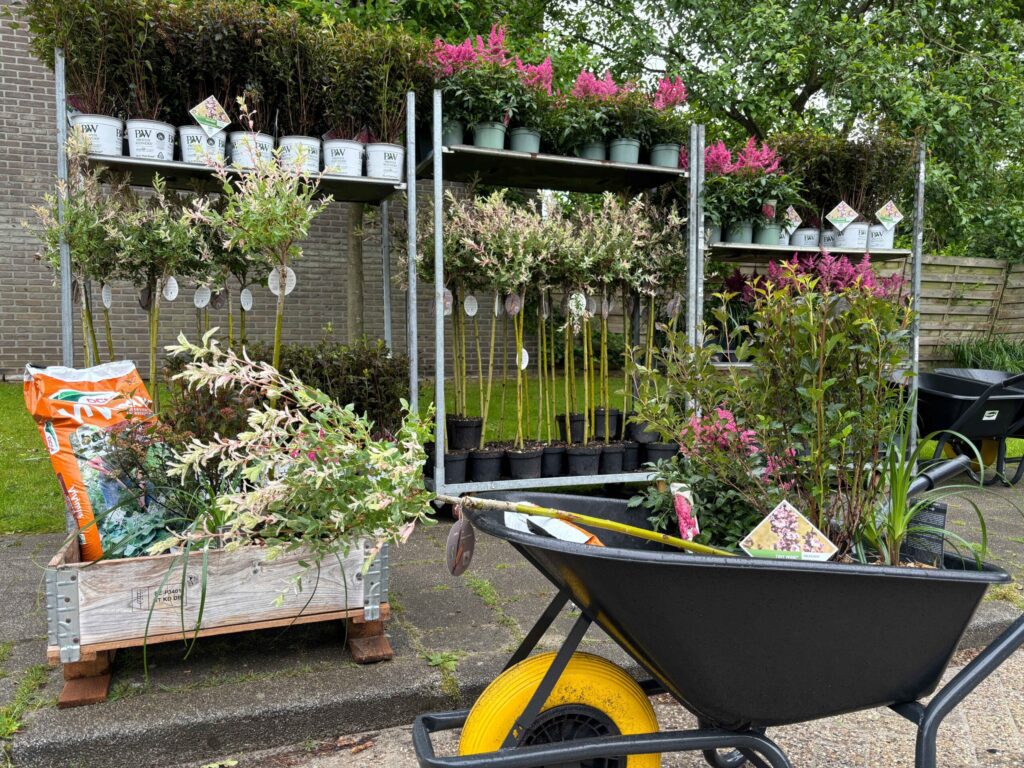 planten-voor-bewoners-web-scaled